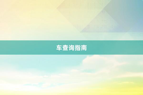 车查询指南